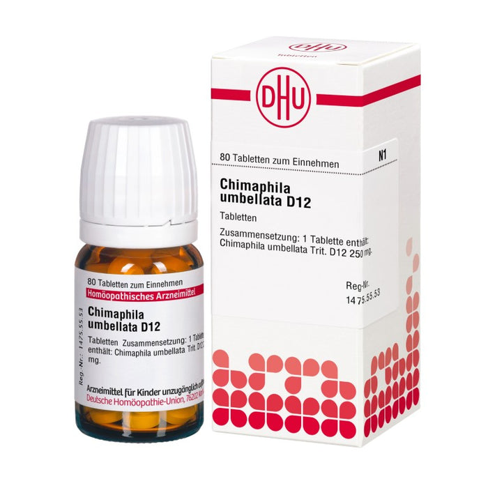 DHU Chimaphila umbellata D12 Tabletten, 80 St. Tabletten