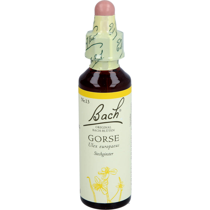 Bach Original Bach-Blüten Nr. 13 Gorse Stechginster Tropfen, 20 ml Solution