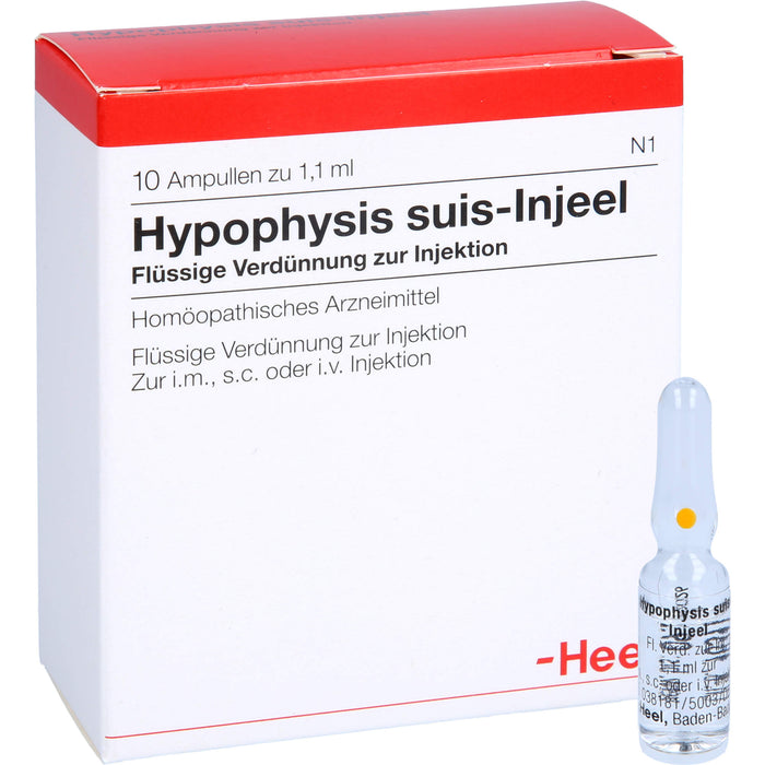 Hypophysis suis-Injeel flüssige Verdünnung, 10 St. Ampullen