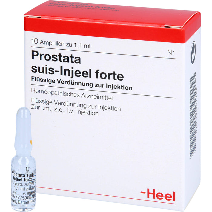 Prostata suis-Injeel forte Inj.-Lsg., 10 St. Ampullen