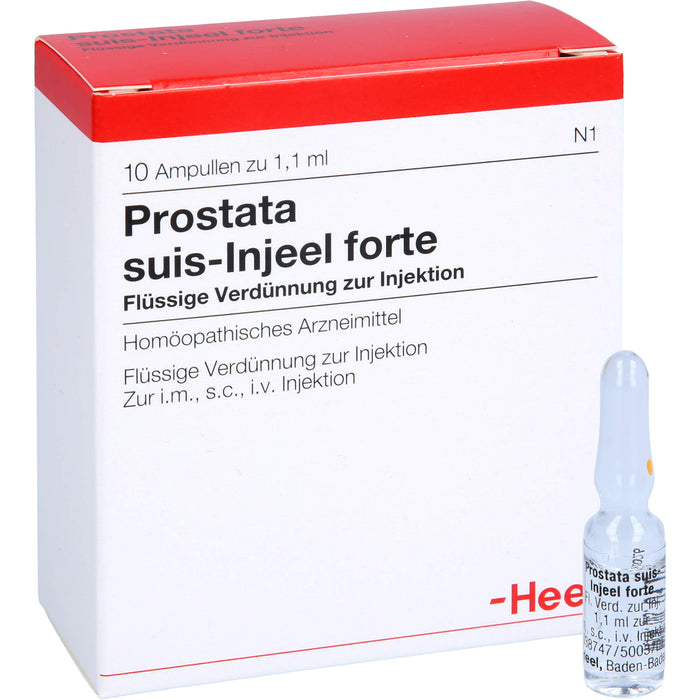 Prostata suis-Injeel forte Inj.-Lsg., 10 St. Ampullen