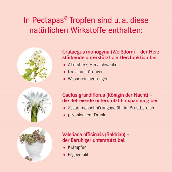 Pectapas Tropfen, 50 ml Lösung