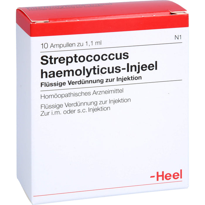 Streptococcus haemolyticus-Injeel flüssige Verdünnung, 10 St. Ampullen