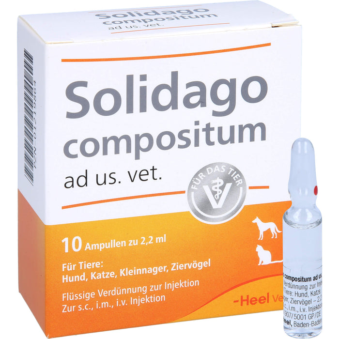 Solidago compositum ad us. vet. Ampullen für Tiere, 10 St. Ampullen