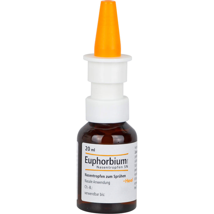 Euphorbium comp. Nasentropfen SN, 20 ml Lösung