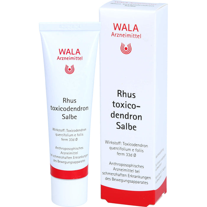 WALA Rhus toxicodendron Salbe, 30 g Salbe