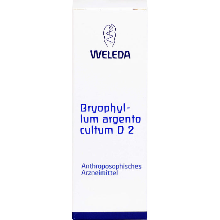 Bryophyllum Argento cultum D2 Weleda Dil., 50 ml Lösung