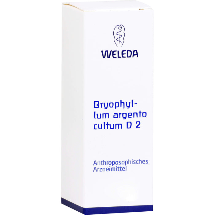 Bryophyllum Argento cultum D2 Weleda Dil., 50 ml Lösung