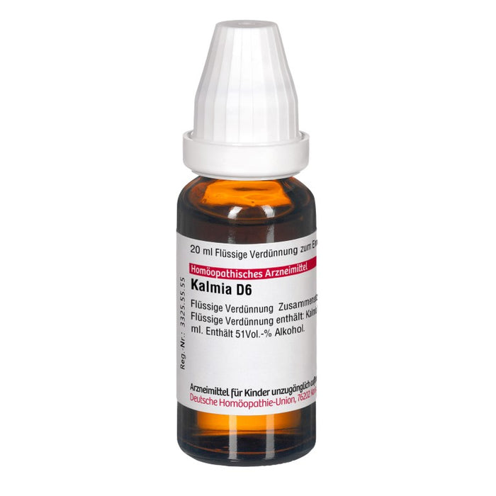 Kalmia D6 DHU Dilution, 20 ml Lösung