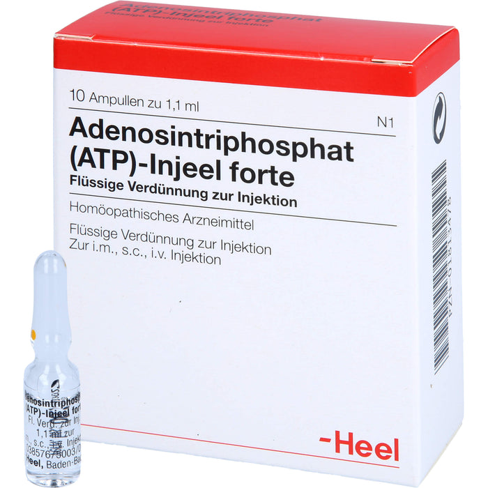 Adenosintriphosphat (ATP)-Injeel forte Ampullen, 10 pcs. Ampoules