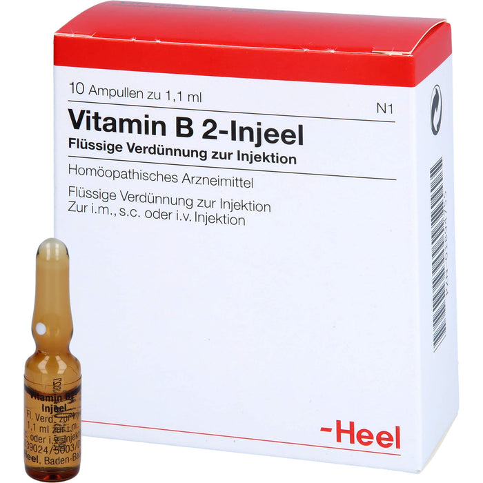 Vitamin B 2 Injeel Amp., 10 St. Ampullen