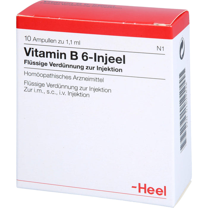 Vitamin B 6 Injeel flüssige Verdünnung, 10 St. Ampullen