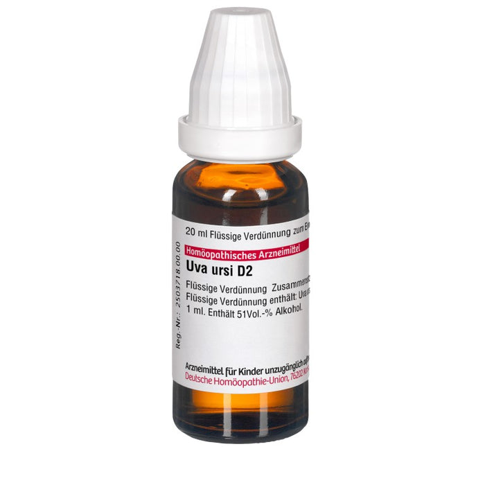 Uva ursi D2 DHU Dilution, 20 ml Lösung