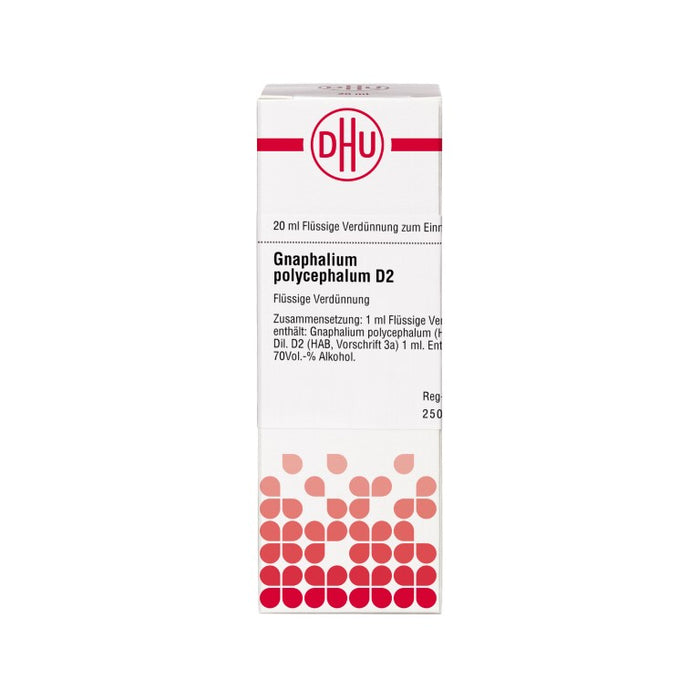 DHU Gnaphalium polycephalum D2 Dilution, 20 ml Lösung