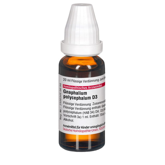 DHU Gnaphalium polycephalum D3 Dilution, 20 ml Lösung