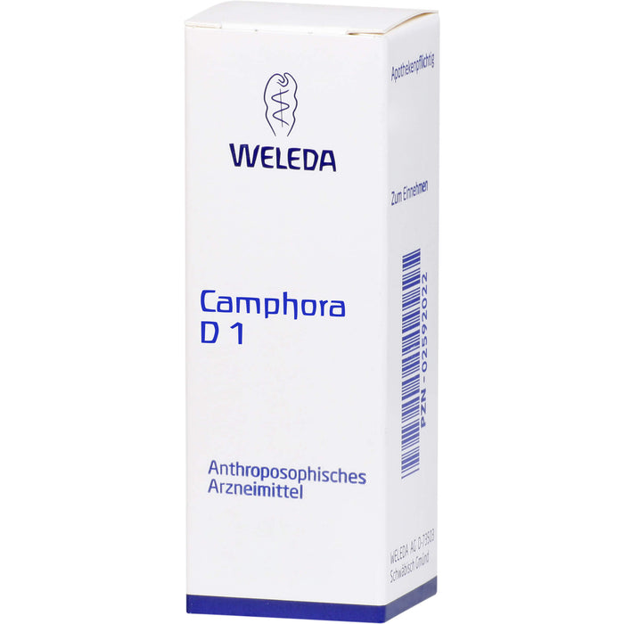 Camphora D1 Lösung, 20 ml Lösung