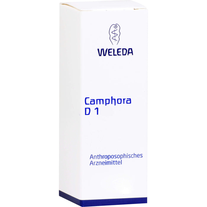 Camphora D1 Lösung, 20 ml Lösung