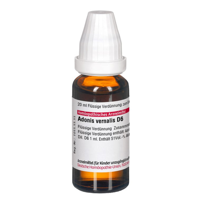 Adonis vernalis D6 DHU Dilution, 20 ml Lösung