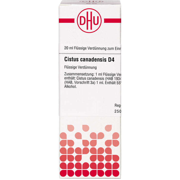 DHU Cistus canadensis D4 Dilution, 20 ml Lösung