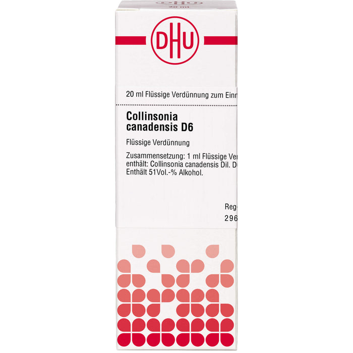 Collinsonia canadensis D6 DHU Dilution, 20 ml Lösung