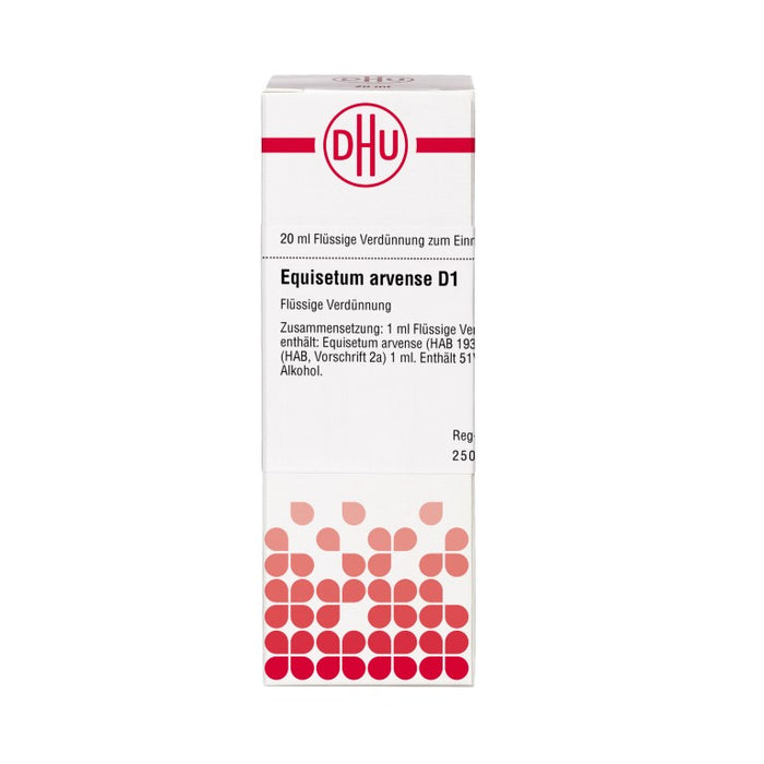 Equisetum arvense D1 DHU Dilution, 20 ml Lösung