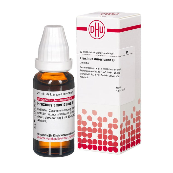 DHU Fraxinus americana ø Urtinktur, 20 ml Lösung