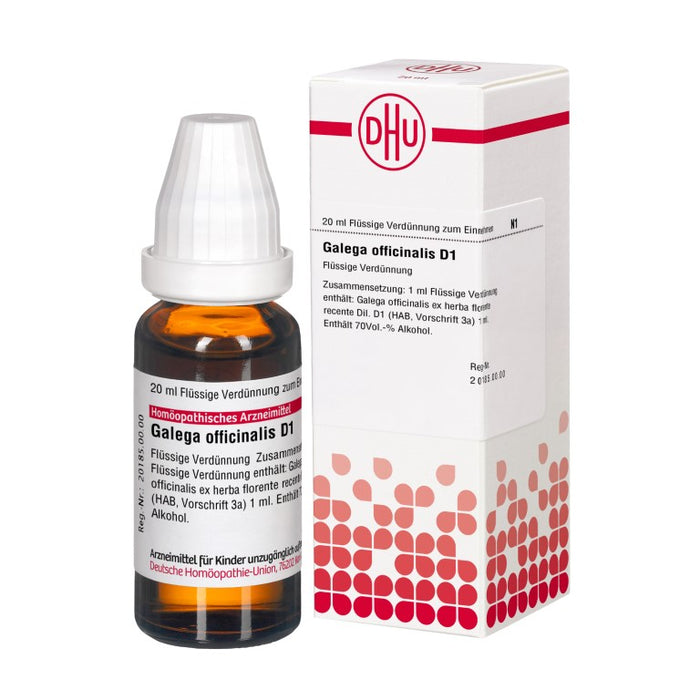 Galega officinalis D1 DHU Dilution, 20 ml Lösung