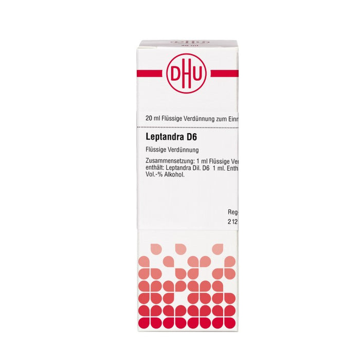 Leptandra D6 DHU Dilution, 20 ml Lösung