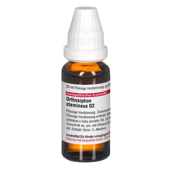 Orthosiphon stamineus D2 DHU Dilution, 20 ml Lösung