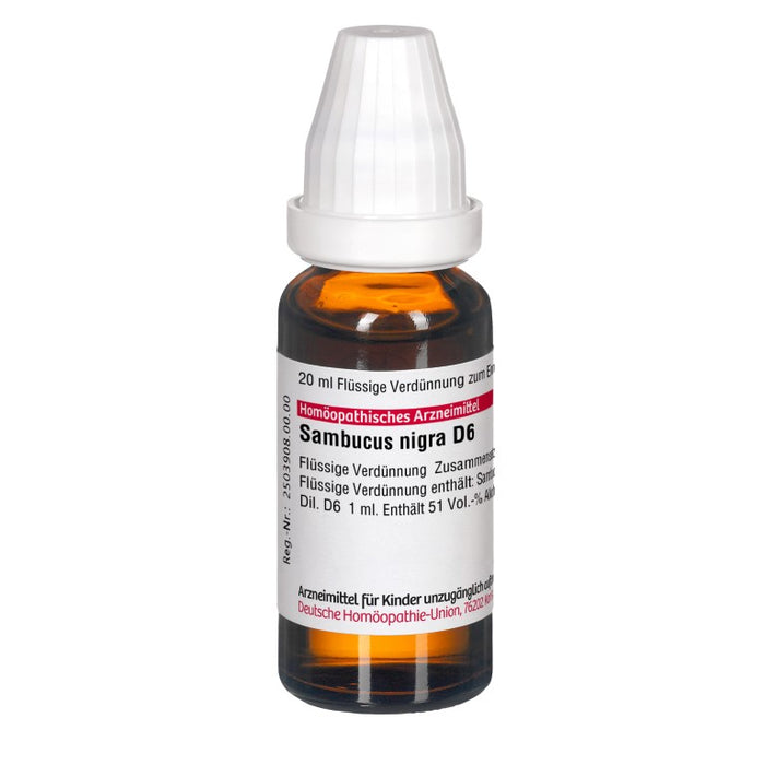 Sambucus nigra D6 DHU Dilution, 20 ml Lösung