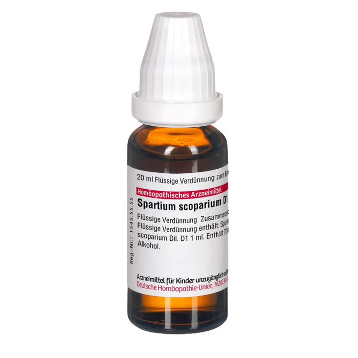 Spartium scoparium D1 DHU Dilution, 20 ml Lösung