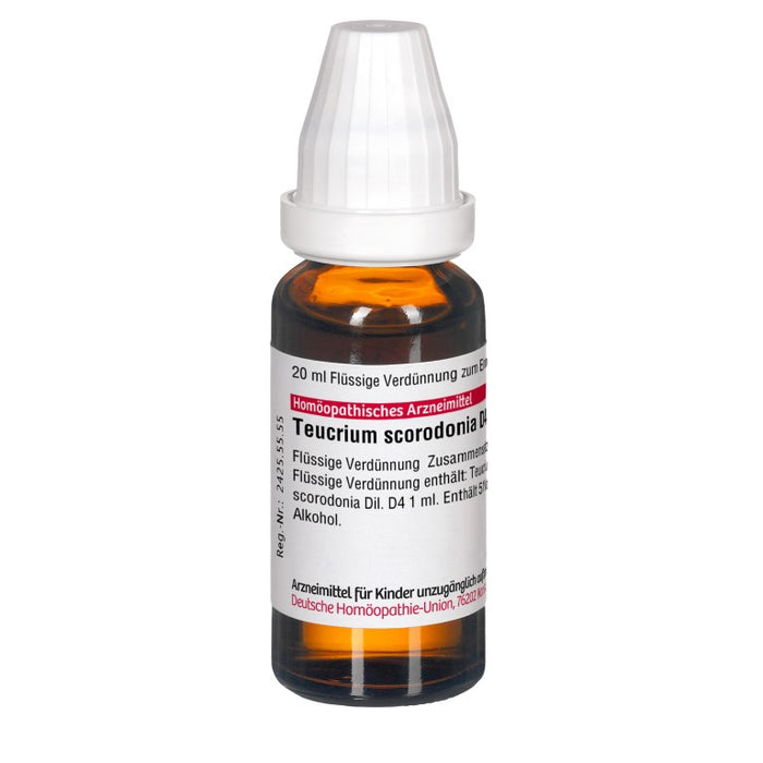 Teucrium scorodonia D4 DHU Dilution, 20 ml Lösung