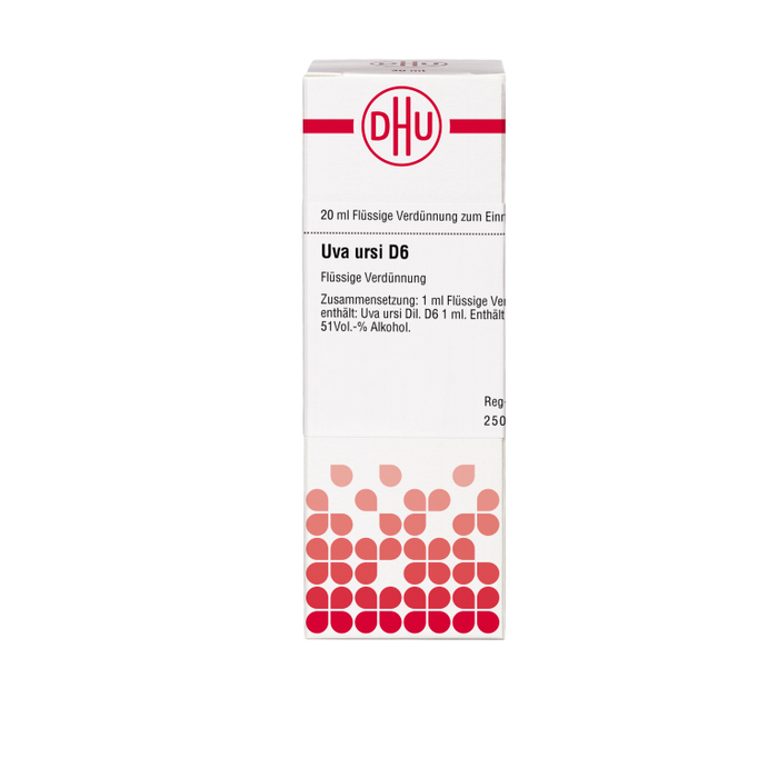 Uva ursi D6 DHU Dilution, 20 ml Lösung