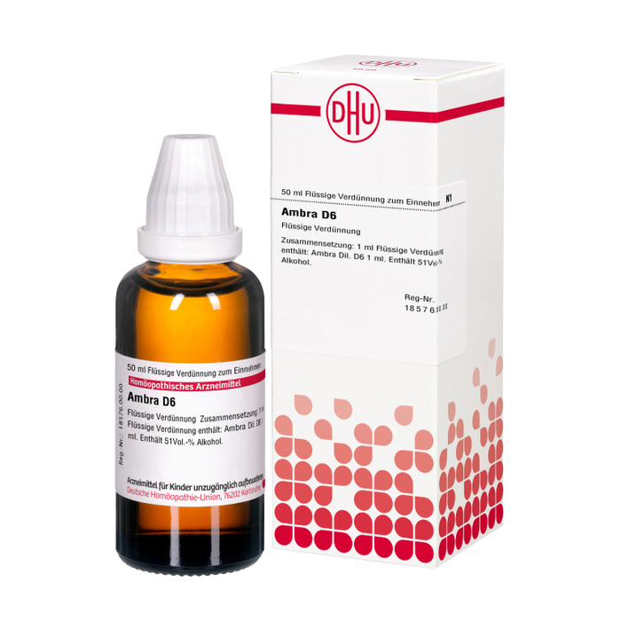 DHU Ambra D6 Dilution, 50 ml Lösung