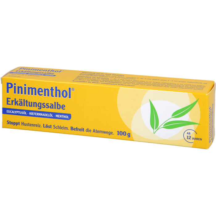 Pinimenthol Erkältungssalbe, 100 g Creme