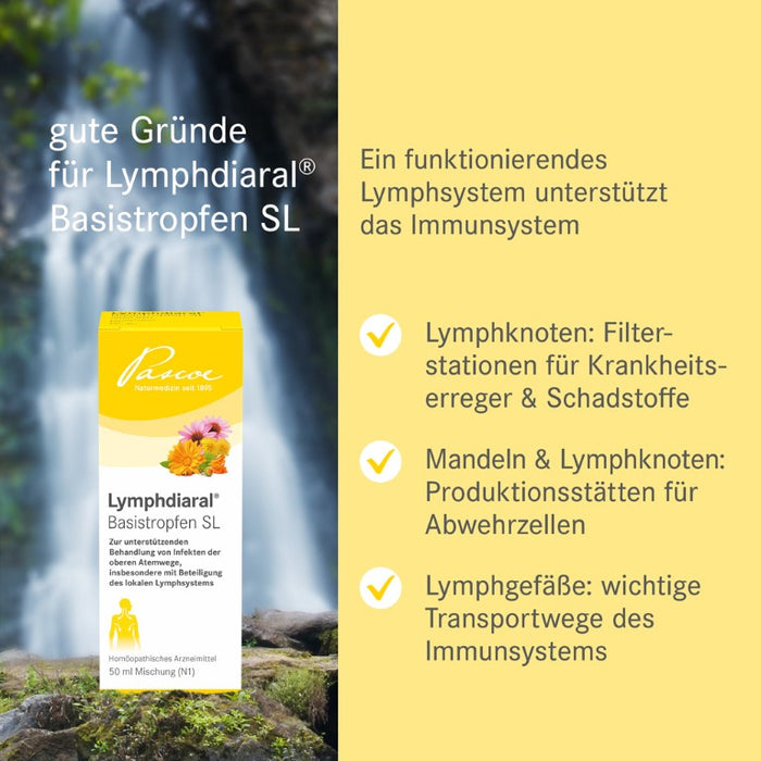 Lymphdiaral Basistropfen SL, 50 ml Lösung