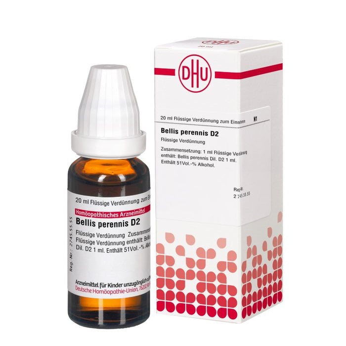 DHU Bellis perennis D2 Dilution, 20 ml Lösung