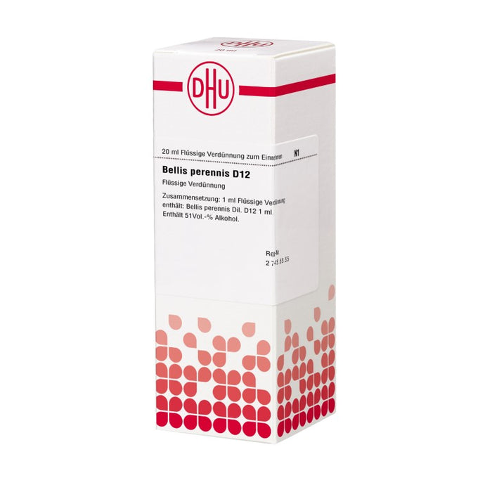 DHU Bellis perennis D12 Dilution, 20 ml Lösung