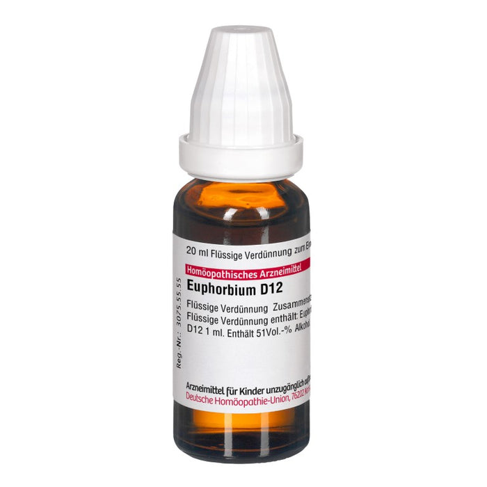 DHU Euphorbium D 12 flüssige Verdünnung, 20 ml Lösung