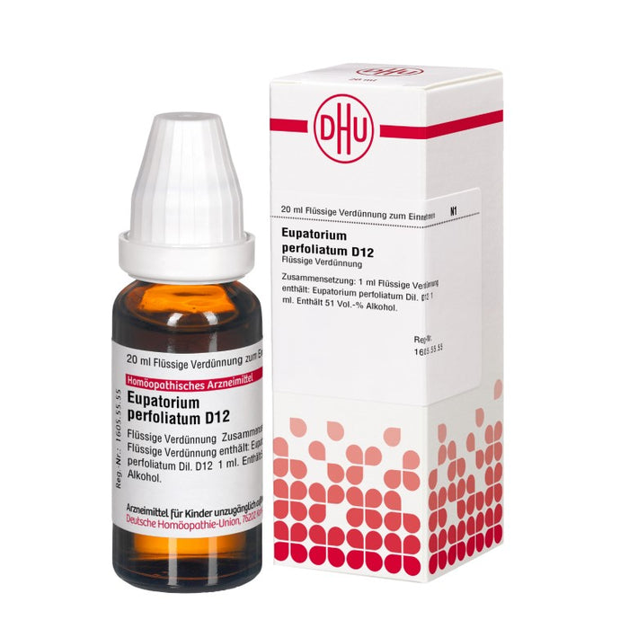 DHU Eupatorium perfoliatum D12 Dilution, 20 ml Lösung