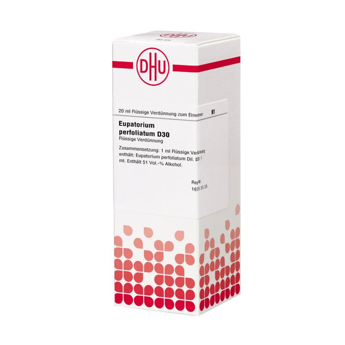 Eupatorium perfoliatum D30 DHU Dilution, 20 ml Lösung