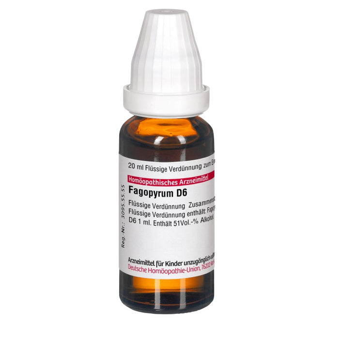 Fagopyrum D6 DHU Dilution, 20 ml Lösung