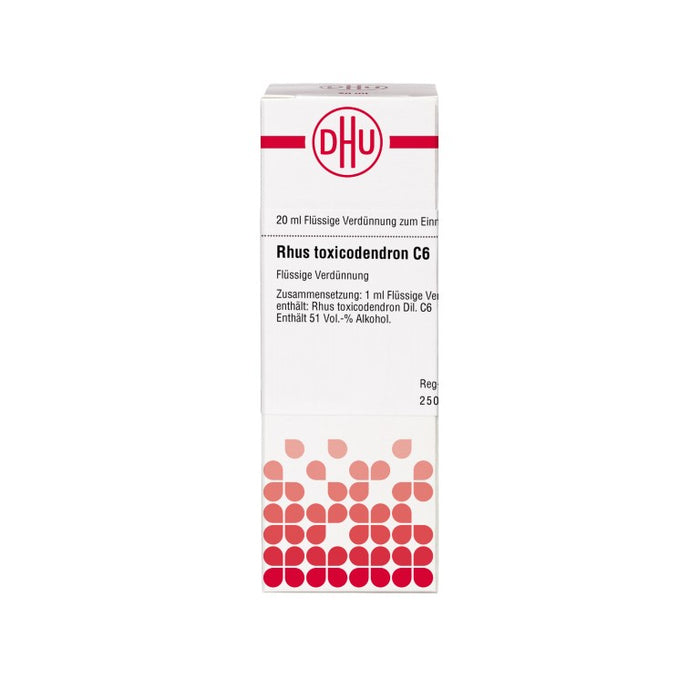 DHU Rhus toxicodendron C6 Dilution, 20 ml Lösung