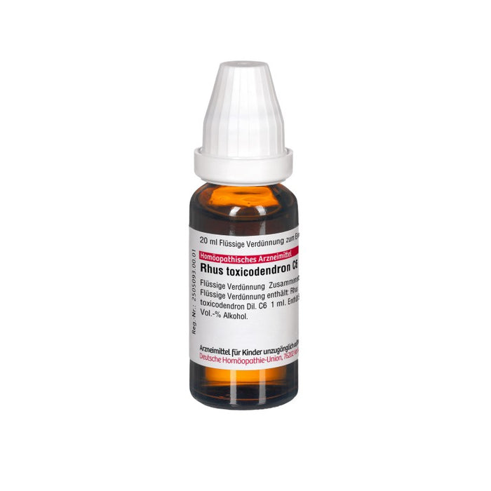 DHU Rhus toxicodendron C6 Dilution, 20 ml Lösung