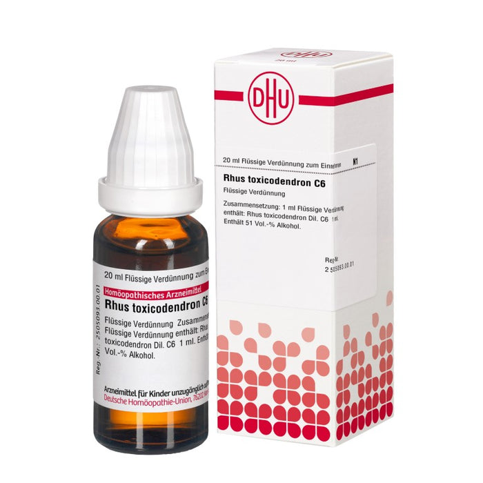 DHU Rhus toxicodendron C6 Dilution, 20 ml Lösung