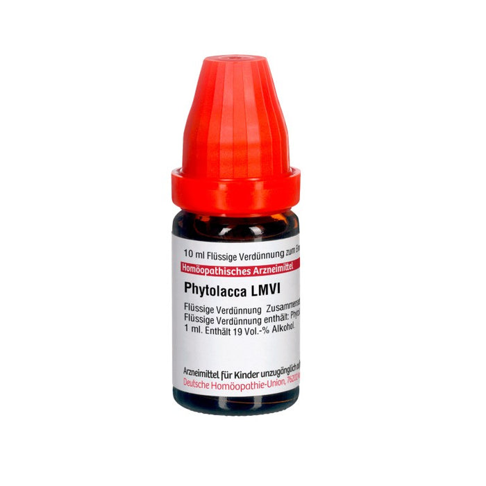 DHU Phytolacca LM VI Dilution, 10 ml Lösung