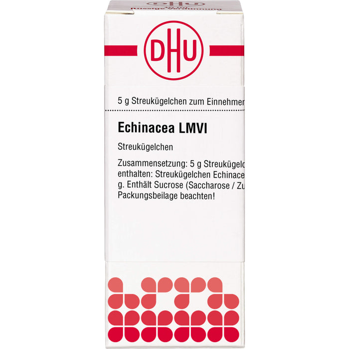 DHU Echinacea LM VI Streukügelchen, 5 g Globuli