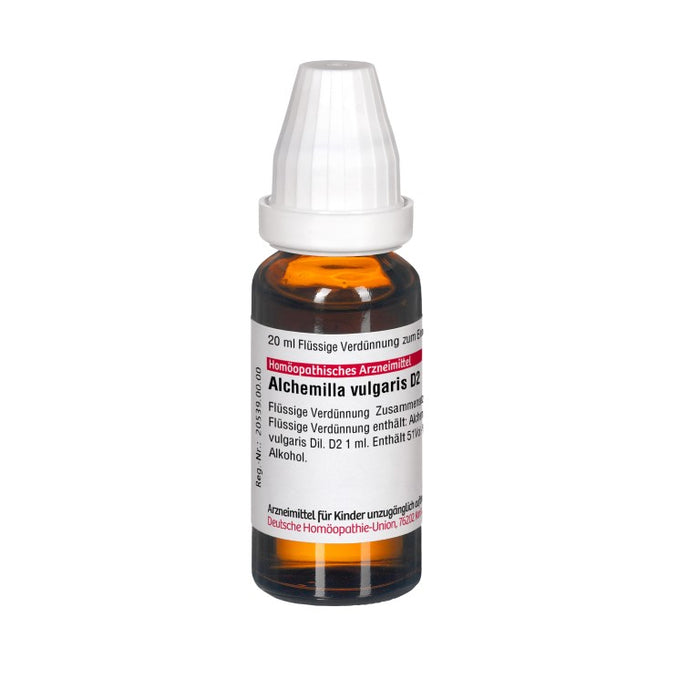 DHU Alchemilla vulgaris D 2 flüssige Verdünnung, 20 ml Lösung