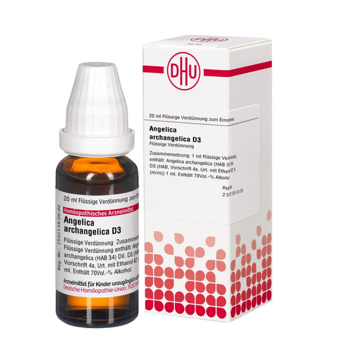 DHU Angelica archangelica D3 Dilution, 20 ml Lösung