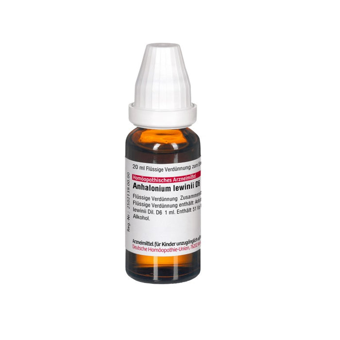 Anhalonium Lewinii D6 DHU Dilution, 20 ml Lösung